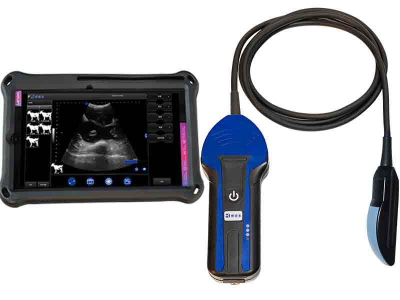 Portable wireless Veterinary ultrasound device BXL-S104