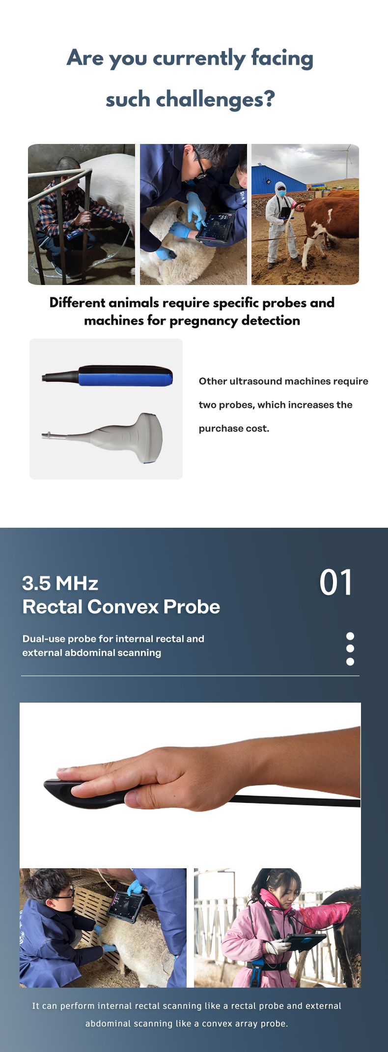 Portable wireless Veterinary ultrasound device BXL-S104(图3)