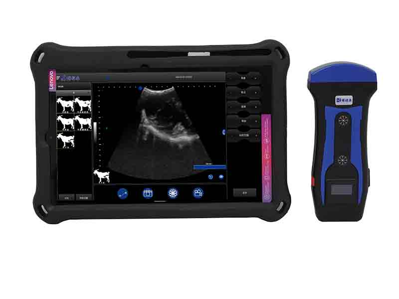 portable wireless veterinary ultrasound instrument BXL-S201