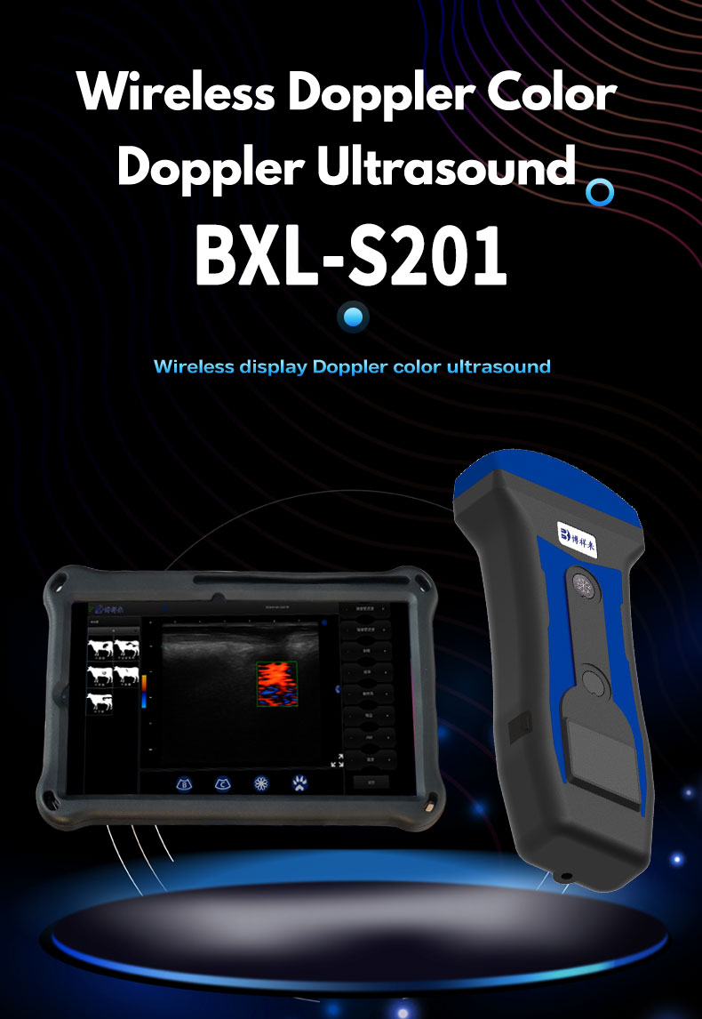 portable wireless veterinary ultrasound instrument BXL-S201(图1)