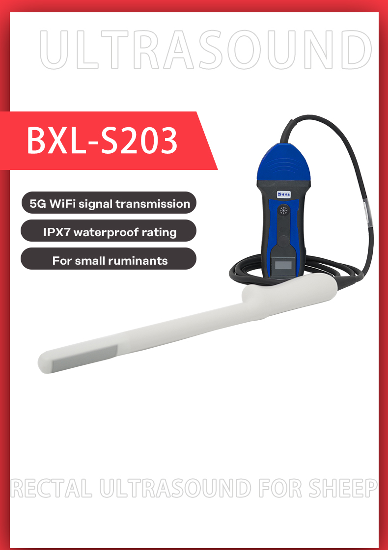 BXL-S203 Portable wireless veterinary ultrasound equipment(图1)