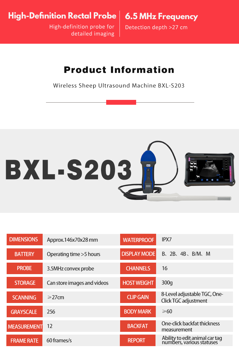 BXL-S203 Portable wireless veterinary ultrasound equipment(图3)