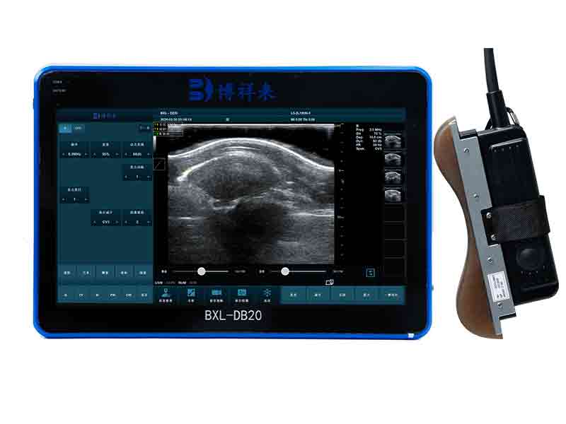 Veterinary back fat eye muscle measuring instrument BXL-DZ20