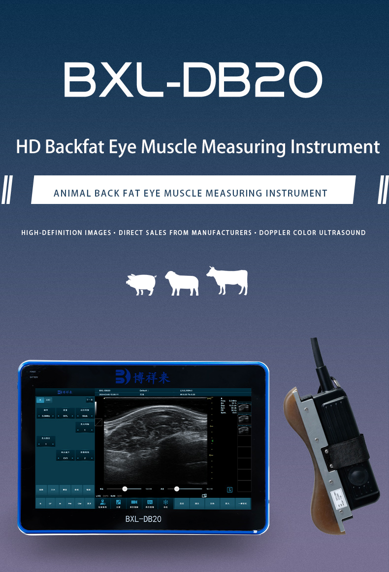 Veterinary back fat eye muscle measuring instrument BXL-DZ20(图1)