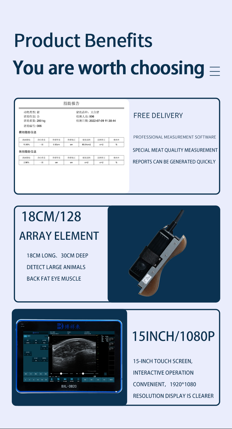 Veterinary back fat eye muscle measuring instrument BXL-DZ20(图4)