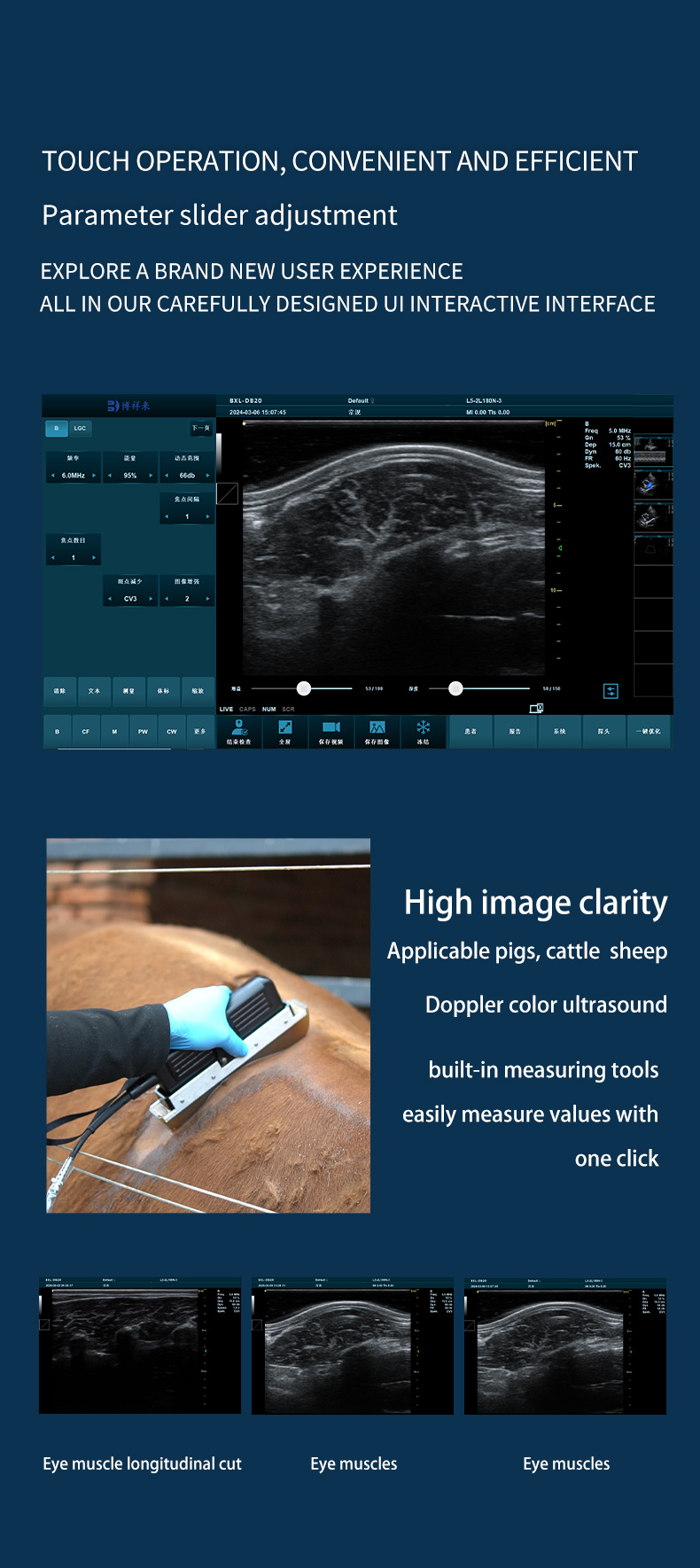 Veterinary back fat eye muscle measuring instrument BXL-DZ20(图5)