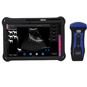 portable wireless veterinary ultrasound instrument BXL-S201