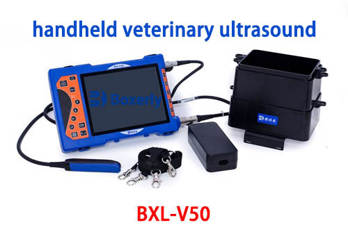 Can a Vet Ultrasound Machine Be Used on Humans(图2)