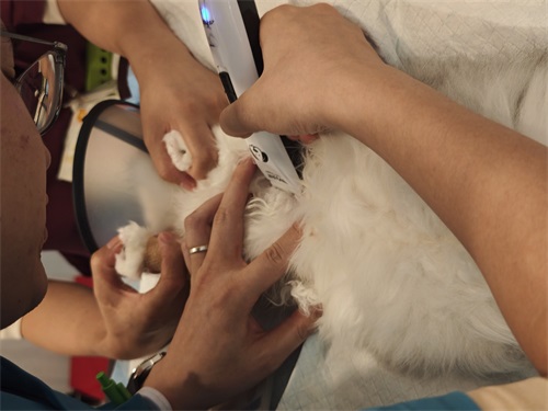 How to Take Care of Veterinary Equipment?(图2)