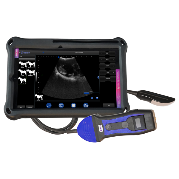 BXL-S204 Portable Wireless Vet Ultrasound Machine | Universal Model