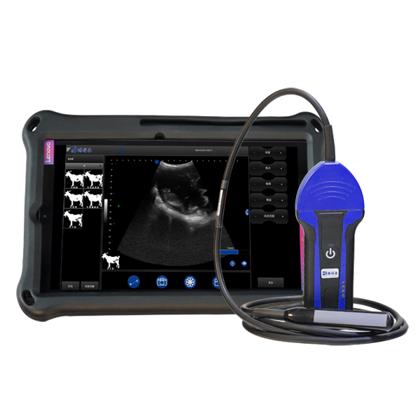 BXL-S100 Veterinary wireless ultrasonic instrument