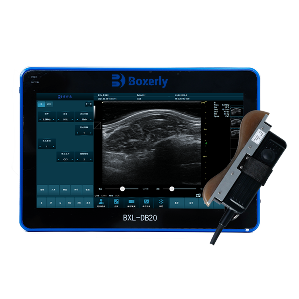 BXL-DB20 Veterinary OPU Eye Muscle Measurement Multifunctional Doppler Ultrasound