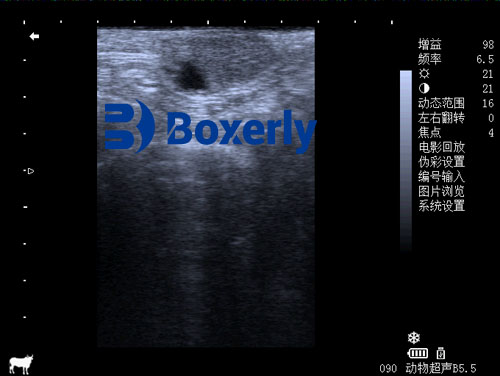 Enhancing Embryo Transfer Success through Ultrasound-Guided Donor and Recipient Selection in Cattle(图2)